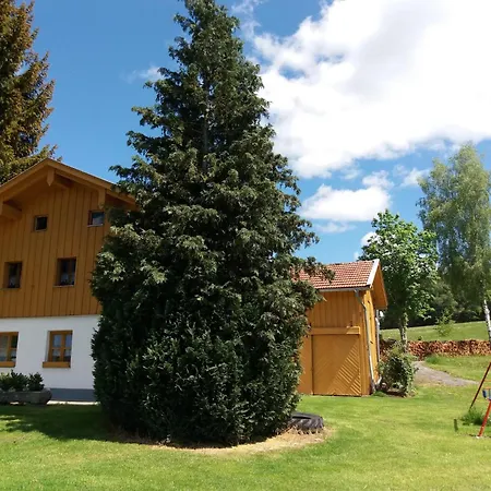 Schoenes In In Waldnaehe Feriehus Viechtach