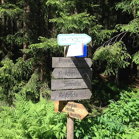 Schoenes In In Waldnaehe * Viechtach