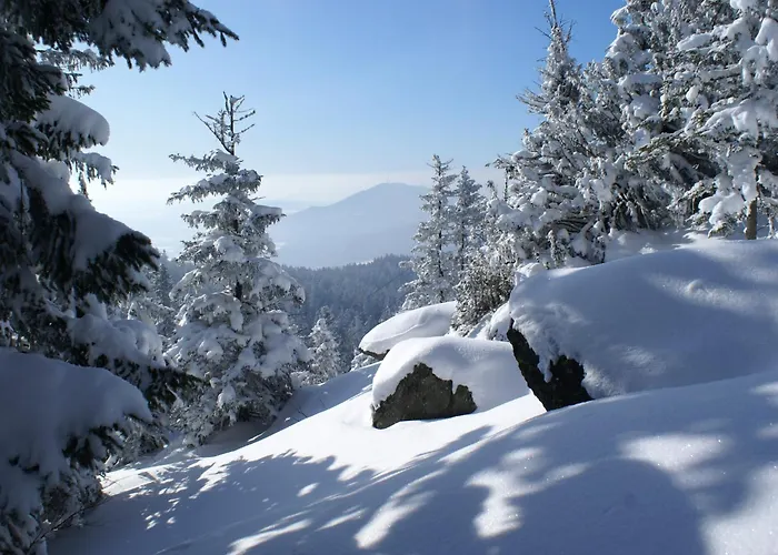 Schoenes In In Waldnaehe Nyaraló Viechtach