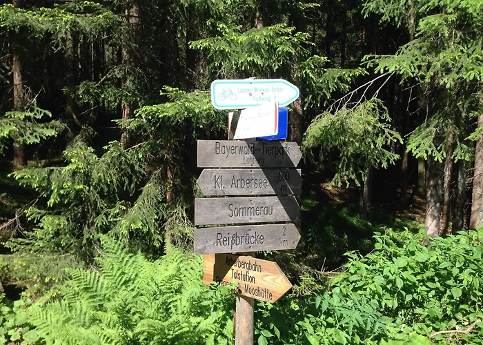 Schoenes In In Waldnaehe * Viechtach